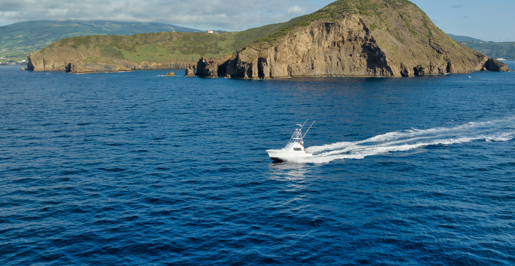 Costa di Tenerife vista durante un’escursione in barca
